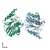 PDB entry 1hlk coloured by chain, front view.