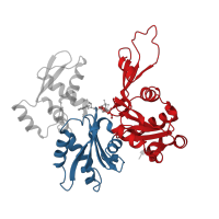 The deposited structure of PDB entry 1hlu contains 2 copies of CATH domain 3.30.420.40 (Nucleotidyltransferase; domain 5) in Actin, cytoplasmic 1. Showing 2 copies in chain A.