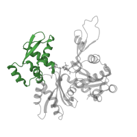 The deposited structure of PDB entry 1hlu contains 1 copy of CATH domain 3.90.640.10 (Actin; Chain A, domain 4) in Actin, cytoplasmic 1. Showing 1 copy in chain A.