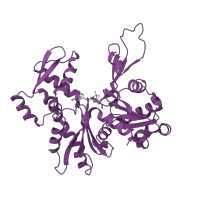 The deposited structure of PDB entry 1hlu contains 1 copy of Pfam domain PF00022 (Actin) in Actin, cytoplasmic 1. Showing 1 copy in chain A.