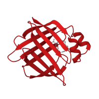 The deposited structure of PDB entry 1hms contains 1 copy of CATH domain 2.40.128.20 (Lipocalin) in Fatty acid-binding protein, heart. Showing 1 copy in chain A.
