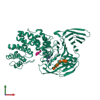 PDB entry 1hmw coloured by chain, front view.