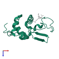 Lysozyme C in PDB entry 1hnl, assembly 1, top view.