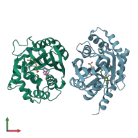 PDB entry 1hnn coloured by chain, front view.