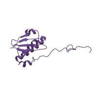 The deposited structure of PDB entry 1hnx contains 1 copy of SCOP domain 54212 (Translational machinery components) in Small ribosomal subunit protein uS9. Showing 1 copy in chain J [auth I].