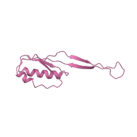 The deposited structure of PDB entry 1hnx contains 1 copy of SCOP domain 55000 (Ribosomal protein S10) in Small ribosomal subunit protein uS10. Showing 1 copy in chain K [auth J].