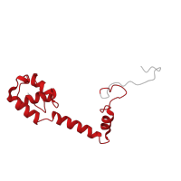 The deposited structure of PDB entry 1hnx contains 1 copy of Pfam domain PF00416 (Ribosomal protein S13/S18) in Small ribosomal subunit protein uS13. Showing 1 copy in chain N [auth M].