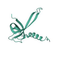 The deposited structure of PDB entry 1hnx contains 1 copy of SCOP domain 50282 (Cold shock DNA-binding domain-like) in Small ribosomal subunit protein uS17. Showing 1 copy in chain R [auth Q].