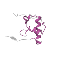 The deposited structure of PDB entry 1hnx contains 1 copy of Pfam domain PF01084 (Ribosomal protein S18) in Small ribosomal subunit protein bS18. Showing 1 copy in chain S [auth R].