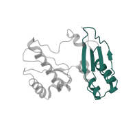The deposited structure of PDB entry 1hnx contains 1 copy of Pfam domain PF00189 (Ribosomal protein S3, C-terminal domain) in Small ribosomal subunit protein uS3. Showing 1 copy in chain D [auth C].