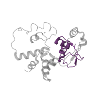 The deposited structure of PDB entry 1hnx contains 1 copy of Pfam domain PF01479 (S4 domain) in Small ribosomal subunit protein uS4. Showing 1 copy in chain E [auth D].