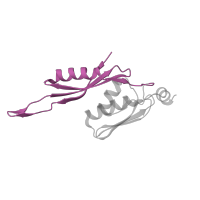 The deposited structure of PDB entry 1hnx contains 1 copy of SCOP domain 54778 (Ribosomal S5 protein, N-terminal domain) in Small ribosomal subunit protein uS5. Showing 1 copy in chain F [auth E].