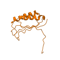 The deposited structure of PDB entry 1hnx contains 1 copy of SCOP domain 54996 (Ribosomal protein S6) in Small ribosomal subunit protein bS6. Showing 1 copy in chain G [auth F].