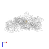 Small ribosomal subunit protein bS18 in PDB entry 1hnx, assembly 1, top view.