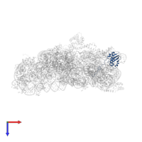 Small ribosomal subunit protein uS9 in PDB entry 1hnz, assembly 1, top view.