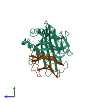 PDB entry 1hoc coloured by chain, side view.
