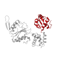 The deposited structure of PDB entry 1hqc contains 2 copies of CATH domain 1.10.10.10 (Arc Repressor Mutant, subunit A) in Holliday junction branch migration complex subunit RuvB. Showing 1 copy in chain A.