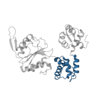 The deposited structure of PDB entry 1hqc contains 2 copies of CATH domain 1.10.8.60 (Helicase, Ruva Protein; domain 3) in Holliday junction branch migration complex subunit RuvB. Showing 1 copy in chain A.