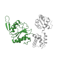 The deposited structure of PDB entry 1hqc contains 2 copies of CATH domain 3.40.50.300 (Rossmann fold) in Holliday junction branch migration complex subunit RuvB. Showing 1 copy in chain A.