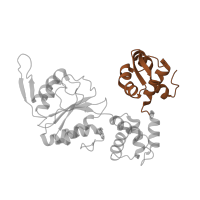 The deposited structure of PDB entry 1hqc contains 2 copies of SCOP domain 46819 (Helicase DNA-binding domain) in Holliday junction branch migration complex subunit RuvB. Showing 1 copy in chain A.