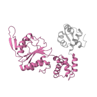 The deposited structure of PDB entry 1hqc contains 2 copies of SCOP domain 81269 (Extended AAA-ATPase domain) in Holliday junction branch migration complex subunit RuvB. Showing 1 copy in chain A.