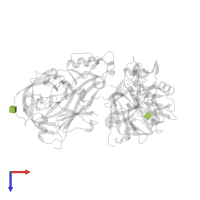 2-acetamido-2-deoxy-beta-D-glucopyranose in PDB entry 1hrn, assembly 1, top view.