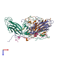 PDB entry 1hrv coloured by chain, top view.