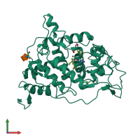 PDB entry 1hsr coloured by chain, front view.