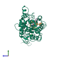 PDB entry 1hsr coloured by chain, side view.