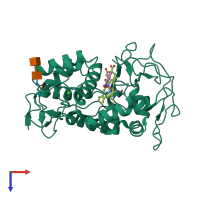 PDB entry 1hsr coloured by chain, top view.