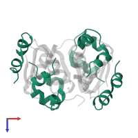 Insulin A chain in PDB entry 1htv, assembly 1, top view.