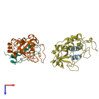 PDB entry 1huc coloured by chain, top view.