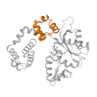 The deposited structure of PDB entry 1huo contains 2 copies of Pfam domain PF10391 (Fingers domain of DNA polymerase lambda) in DNA polymerase beta. Showing 1 copy in chain E [auth A].