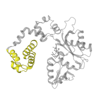 The deposited structure of PDB entry 1huo contains 2 copies of Pfam domain PF14716 (Helix-hairpin-helix domain) in DNA polymerase beta. Showing 1 copy in chain E [auth A].