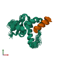 PDB entry 1hv2 coloured by chain, ensemble of 20 models, front view.