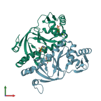 PDB entry 1hw5 coloured by chain, front view.