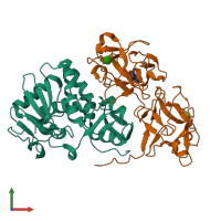 PDB entry 1hwn coloured by chain, front view.