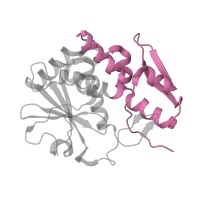 The deposited structure of PDB entry 1hwo contains 1 copy of CATH domain 4.10.470.10 (Ricin (A Subunit), domain 2) in Ribosome-inactivating protein. Showing 1 copy in chain A.