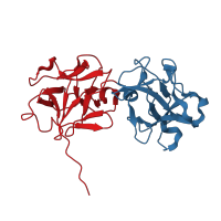 The deposited structure of PDB entry 1hwo contains 2 copies of CATH domain 2.80.10.50 (Trefoil (Acidic Fibroblast Growth Factor, subunit A)) in Ribosome-inactivating protein. Showing 2 copies in chain B.