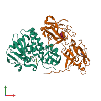 PDB entry 1hwp coloured by chain, front view.