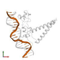 DNA (5'-D(*GP*CP*TP*AP*AP*TP*AP*GP*CP*GP*AP*TP*AP*AP*TP*AP*GP*CP*GP*C)-3') in PDB entry 1hwt, assembly 2, front view.