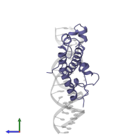 Heme-responsive zinc finger transcription factor HAP1 in PDB entry 1hwt, assembly 2, side view.