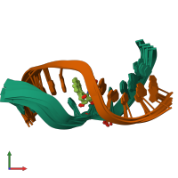 PDB entry 1hx4 coloured by chain, ensemble of 9 models, front view.