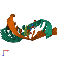 PDB entry 1hx4 coloured by chain, ensemble of 9 models, top view.