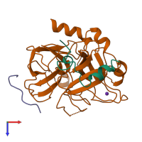 PDB entry 1hxe coloured by chain, top view.