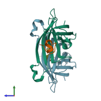 PDB entry 1hxl coloured by chain, side view.