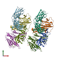 PDB entry 1hxm coloured by chain, front view.