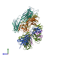 PDB entry 1hxm coloured by chain, side view.