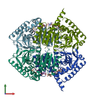 PDB entry 1hyh coloured by chain, front view.