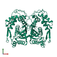 Thymidylate synthase in PDB entry 1hzw, assembly 1, front view.